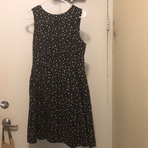 The Limited Polka Dot Dress (6)
